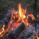 ������ �� ������� ���� ���� ���������