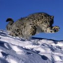 ���� ������, �������, 29 ��� - ��������� 24 ������� 2010 � ������ ���� ����