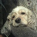 ���� �����, ������, 56 ��� - ��������� 3 ������ 2011 � ������ ���� ���������