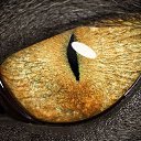 ���� �ak, ������, 60 ��� - ��������� 23 ������� 2013 � ������ ���� ����������