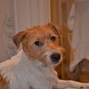 ���� Leonid, �����-���������, 39 ��� - ��������� 27 ���� 2012 � ������ ������