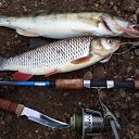 ������� � ������� �� ������� ���� ����������