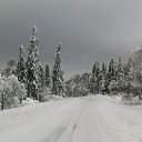   . -      ,   .         - .       .       (    )