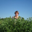 ���� ������, ����������, 69 ��� - ��������� 26 ���� 2013 � ������ ���� ����������