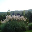 ���� ����, �������� ������ - ��������� 22 ���� 2010 � ������ ������� ����)�