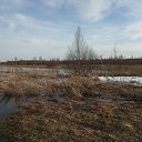  , , 36  -  20  2010    .