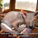 ���� ��������, ������ - ��������� 27 �������� 2010 � ������ ���������!!!�