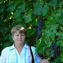 � ������, ����������, � �������� � ������