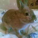 ���� �����, �����-���������, 50 ��� - ��������� 15 ������ 2010 � ������ ���������.�