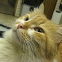 ������� � ����. �� ������� �����������ۻ