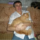 ���� Talyan!, ��������, 50 ��� - ��������� 29 ����� 2012 � ������ ���� ����������