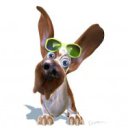 ���� ���, ������, 49 ��� - ��������� 10 ��� 2012