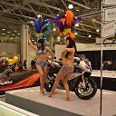 ���� ������, ������, 40 ��� - ��������� 11 ������ 2013 � ������ ����������