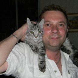 ���� �����, ������, 54 ���� - ��������� 15 ������� 2012