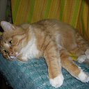 ���� ������, �����-���������, 54 ���� - ��������� 2 ���� 2013 � ������ ����� ��� ������������