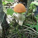 ���� �������, �����-��������� - ��������� 4 ������ 2010 � ������ �������