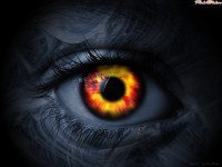 Maikl, ������, 50 ���