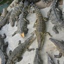 �������� ������������ :) �� ������� �������