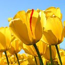 ���� ==Elena==, ������� - ��������� 22 ������� 2012 � ������ ���������� ������