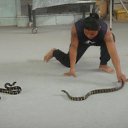 ���� ����, ������, 48 ��� - ��������� 30 ���� 2011 � ������ �������