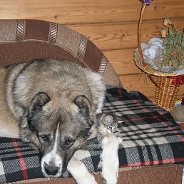 ���� ������, �����-���������, 49 ��� - ��������� 5 ������ 2010