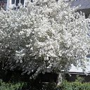  , -, 61  -  25  2011   