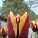 ���� ������, ������, 63 ���� - ��������� 5 ������� 2011 � ������ ������-���� �����....�