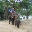 ���� Irina, ������, 66 ��� - ��������� 18 ���� 2012 � ������ ���� ����������