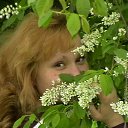 ���� ������, ������, 53 ���� - ��������� 29 �������� 2011 � ������ ���� ����������