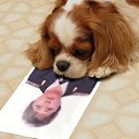 ���� Alenkij, ���������, 56 ��� - ��������� 30 �������� 2011 � ������ �����������