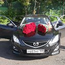 ���� ���������, ������, 40 ��� - ��������� 22 ������� 2012