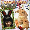  ~_o~, , 62  -  2  2011    ...