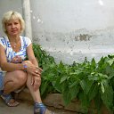 ���� ����, ������, 55 ��� - ��������� 17 ������� 2011