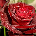 ���� Jamilya, ������� - ��������� 12 ������ 2013 � ������ ���� ����������