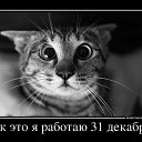 ���� ����������, �����-���������, 54 ���� - ��������� 12 ������� 2013 � ������ ���� ����������