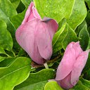 ���� Vytalii, ������ ��������, 59 ��� - ��������� 15 ������� 2010 � ������ �������!�