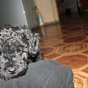   , , 56  -  9  2012      !