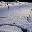 ���� ���������, ������ - ��������� 11 ����� 2012 � ������ �����