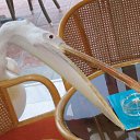 ����������� �������� � ������ � ��������! �� ������� �������