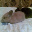 ���� �����, �����-���������, 50 ��� - ��������� 15 ������ 2010 � ������ ���������.�