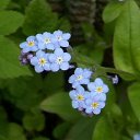   - , , 65  -  2  2012   