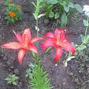 ���� Rina, �������, 39 ��� - ��������� 26 ������ 2010 � ������ ��������