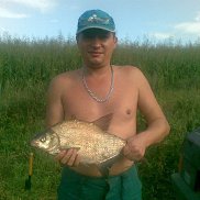 , 52 , 