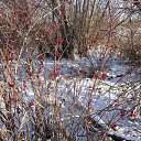 ���� ��������, �����������, 57 ��� - ��������� 18 ���� 2013 � ������ ���� ����������