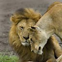 ���� ������, �������, 29 ��� - ��������� 24 ������� 2010 � ������ ���� ����