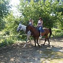  ~_o~, , 62  -  28  2011   0 -   ...