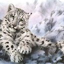 ���� ��������, ������� - ��������� 2 ������ 2010 � ������ �������