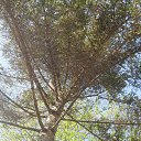 ���� �����, ��������� ������, 45 ��� - ��������� 25 ���� 2013