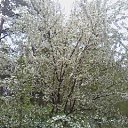  , -, 61  -  25  2011   