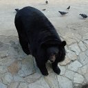  , , 53  -  11  2010     )))